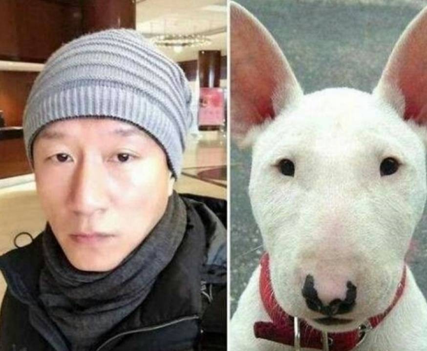 犬系男明星都有谁 —— 晋江文学城网友交流区