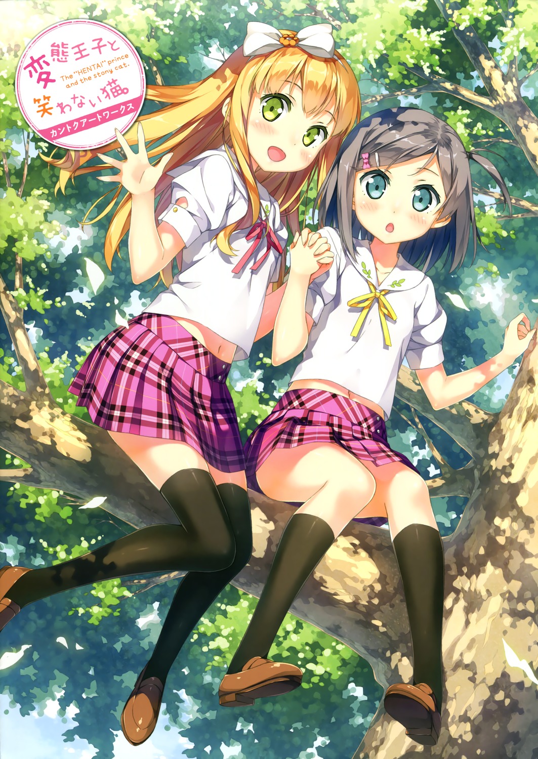 [画册] Hentai Ouji to Warawanai Neko - Kantoku Artworks [116P][165MB] [P1]